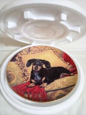 Dachshund Collectible Plate